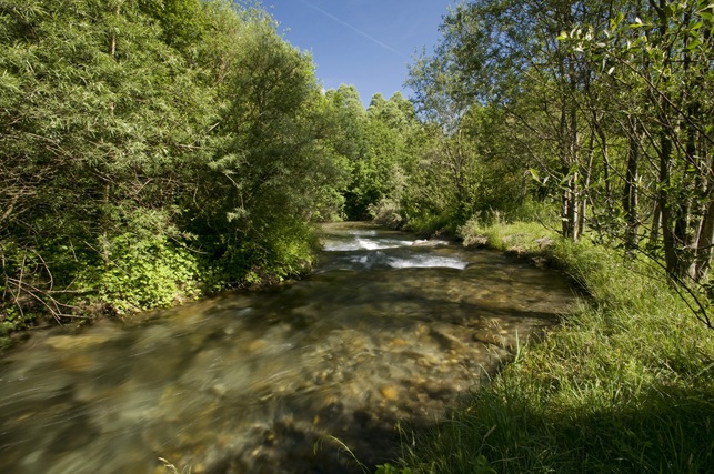 Le ruisseau des Blachères à St Rémy de Maurienne