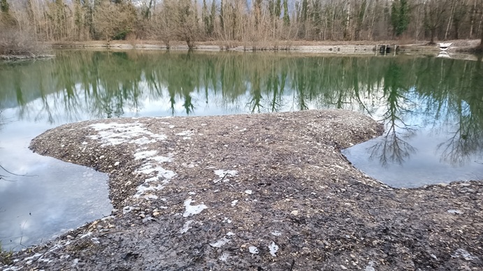 Travaux halieutiques sur le plan d'eau du Sauget aux Echelles pour la ...